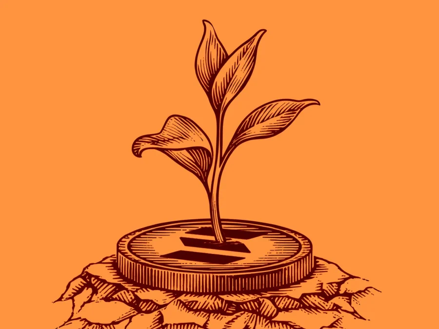 Plant growing out of a coin representing the benefits of staking in crypto