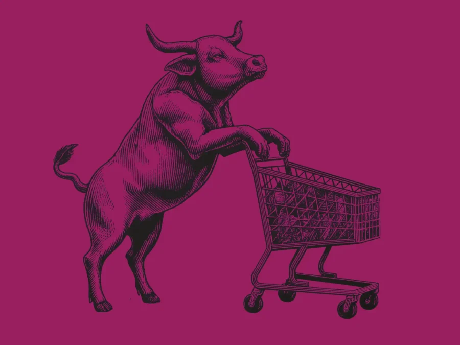 Image of the bull pushing supermarket wheels